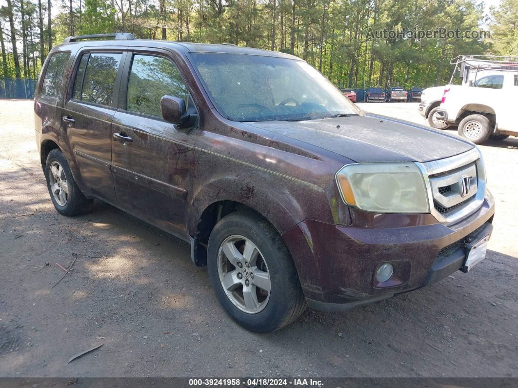 2009 Honda Pilot Ex-l Темно-бордовый vin: 5FNYF48559B037052