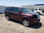 2009 Honda Pilot Exl Burgundy vin: 5FNYF48559B041361