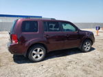 2009 Honda Pilot Exl Бордовый vin: 5FNYF48559B041361