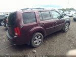 2009 Honda Pilot Ex-l Фиолетовый vin: 5FNYF48579B008734