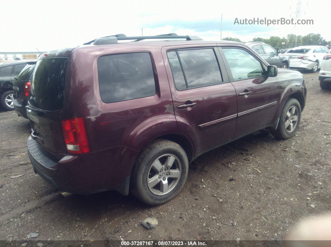 2009 Honda Pilot Ex-l Purple vin: 5FNYF48579B008734