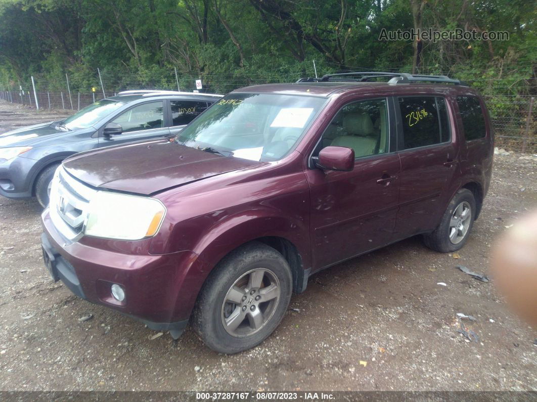 2009 Honda Pilot Ex-l Purple vin: 5FNYF48579B008734