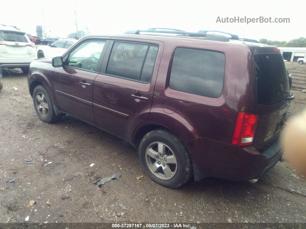 2009 Honda Pilot Ex-l Purple vin: 5FNYF48579B008734