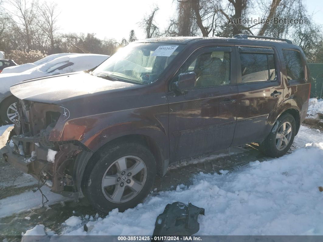 2009 Honda Pilot Ex-l Burgundy vin: 5FNYF48579B009933