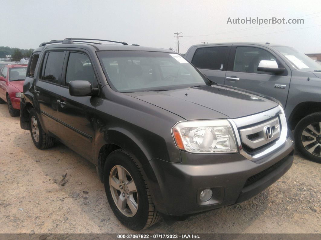 2009 Honda Pilot Ex-l Gray vin: 5FNYF48589B001002