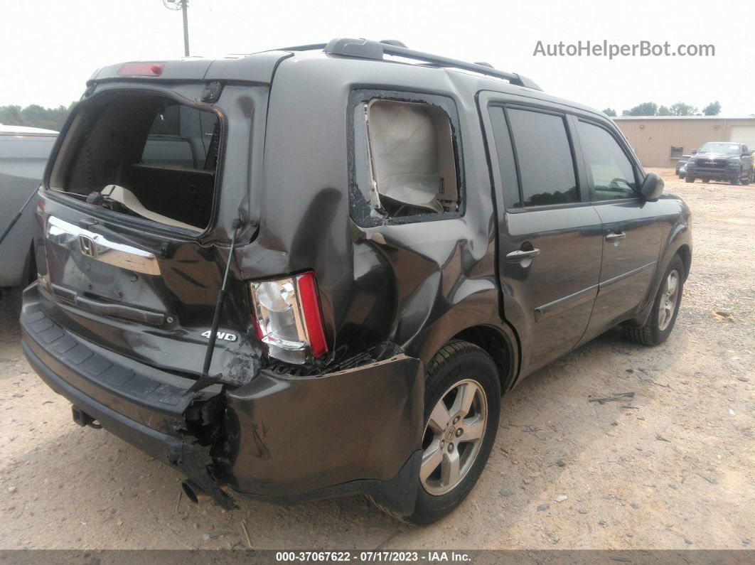 2009 Honda Pilot Ex-l Gray vin: 5FNYF48589B001002