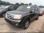 2009 Honda Pilot Ex-l Gray vin: 5FNYF48589B001002