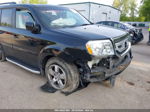 2009 Honda Pilot Ex-l Black vin: 5FNYF48589B009150