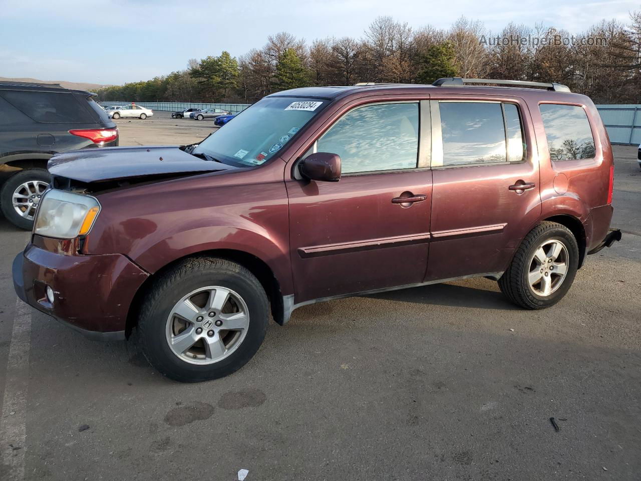 2009 Honda Pilot Exl Бордовый vin: 5FNYF48589B029334