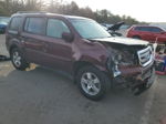 2009 Honda Pilot Exl Бордовый vin: 5FNYF48589B029334