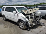 2009 Honda Pilot Exl Белый vin: 5FNYF485X9B019582