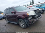 2009 Honda Pilot Ex-l Burgundy vin: 5FNYF485X9B037418