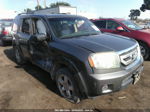 2009 Honda Pilot Ex-l Gray vin: 5FNYF48629B009752