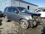 2009 Honda Pilot Exl Серый vin: 5FNYF48639B026432