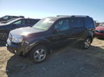 2009 Honda Pilot Exl Black vin: 5FNYF48639B026883