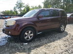 2009 Honda Pilot Exl Бордовый vin: 5FNYF48659B046715