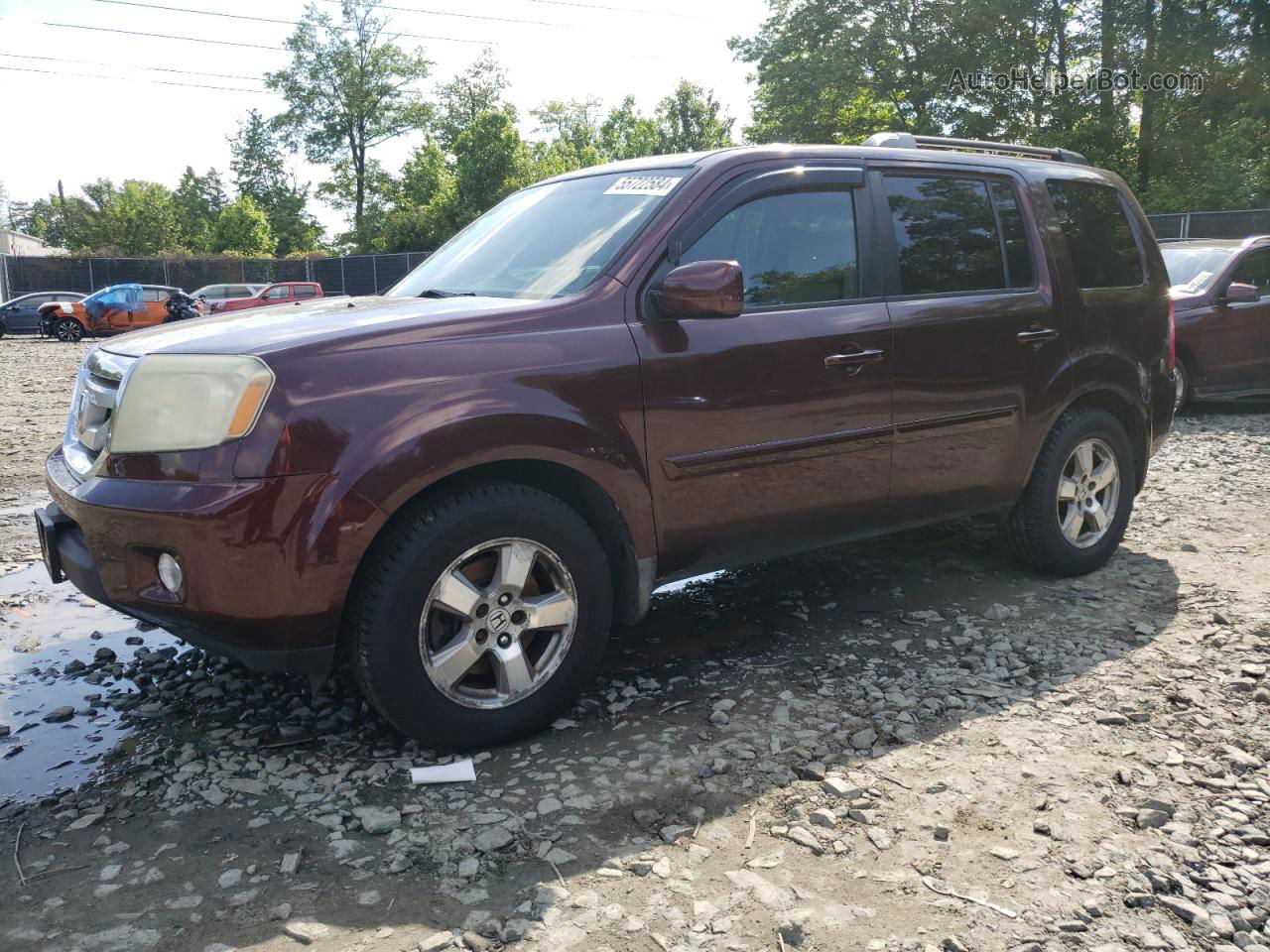 2009 Honda Pilot Exl Burgundy vin: 5FNYF48659B046715