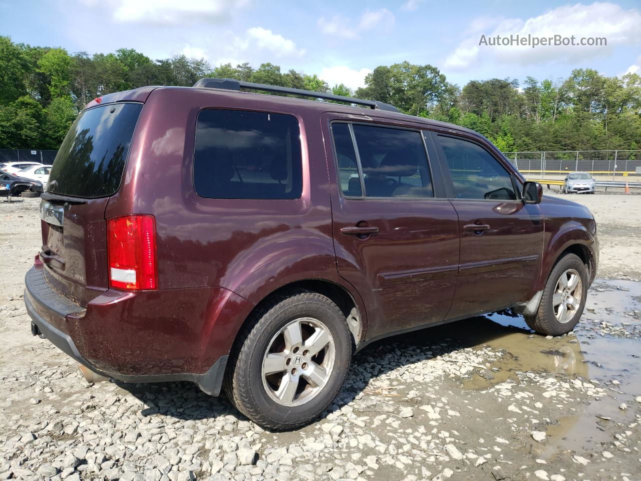 2009 Honda Pilot Exl Бордовый vin: 5FNYF48659B046715