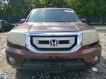 2009 Honda Pilot Exl Burgundy vin: 5FNYF48659B046715