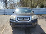 2009 Honda Pilot Exl Black vin: 5FNYF48669B503855