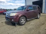 2009 Honda Pilot Exl Burgundy vin: 5FNYF48689B019105