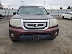 2009 Honda Pilot Exl Темно-бордовый vin: 5FNYF486X9B055555