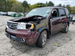 2013 Honda Pilot Exl Бордовый vin: 5FNYF4H55DB082260