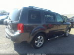 2013 Honda Pilot Ex-l Brown vin: 5FNYF4H59DB040609