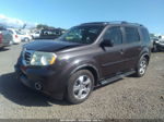 2013 Honda Pilot Ex-l Brown vin: 5FNYF4H59DB040609