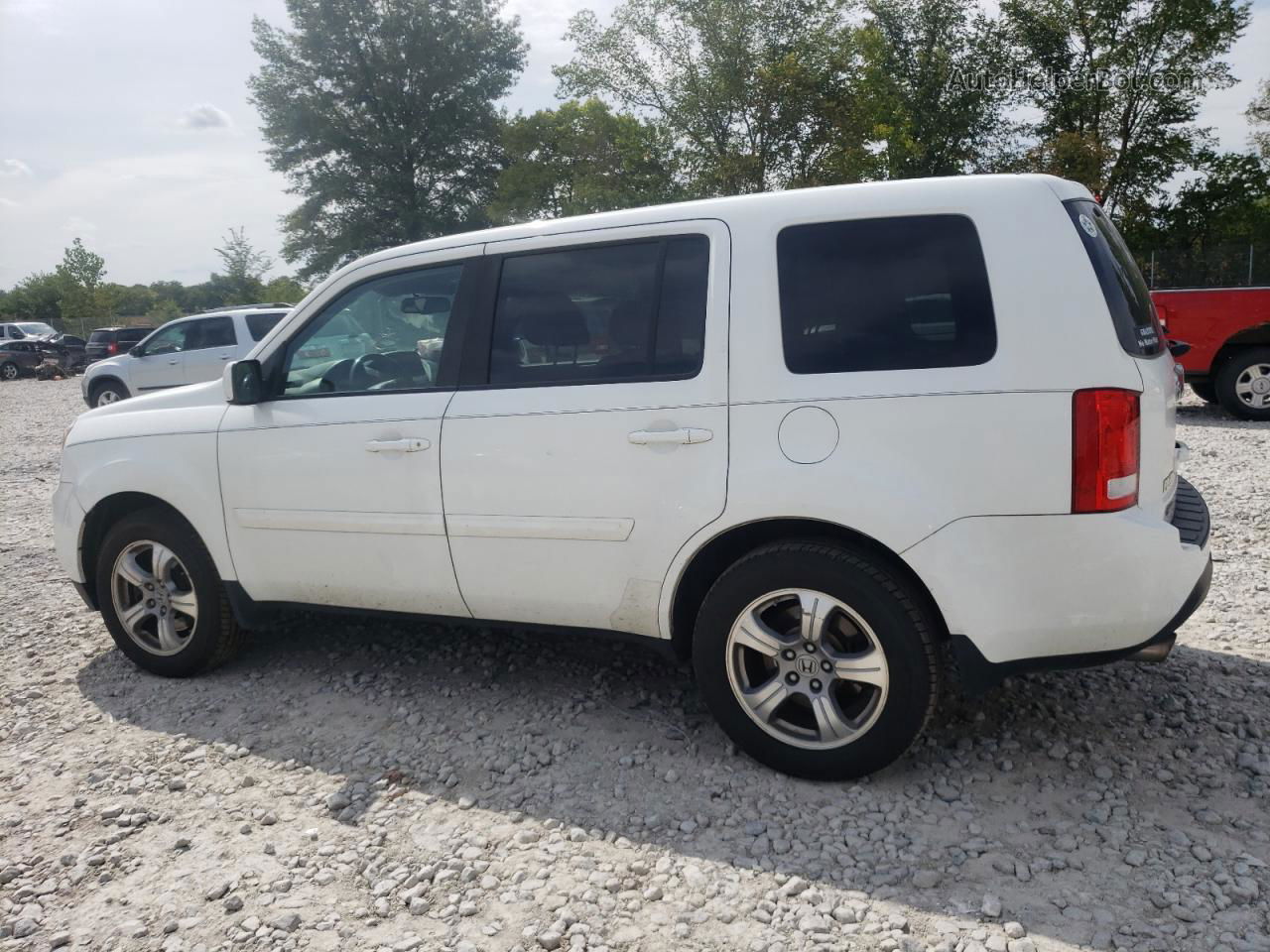 2015 Honda Pilot Exl White vin: 5FNYF4H59FB063519