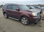 2013 Honda Pilot Exl Purple vin: 5FNYF4H5XDB010373