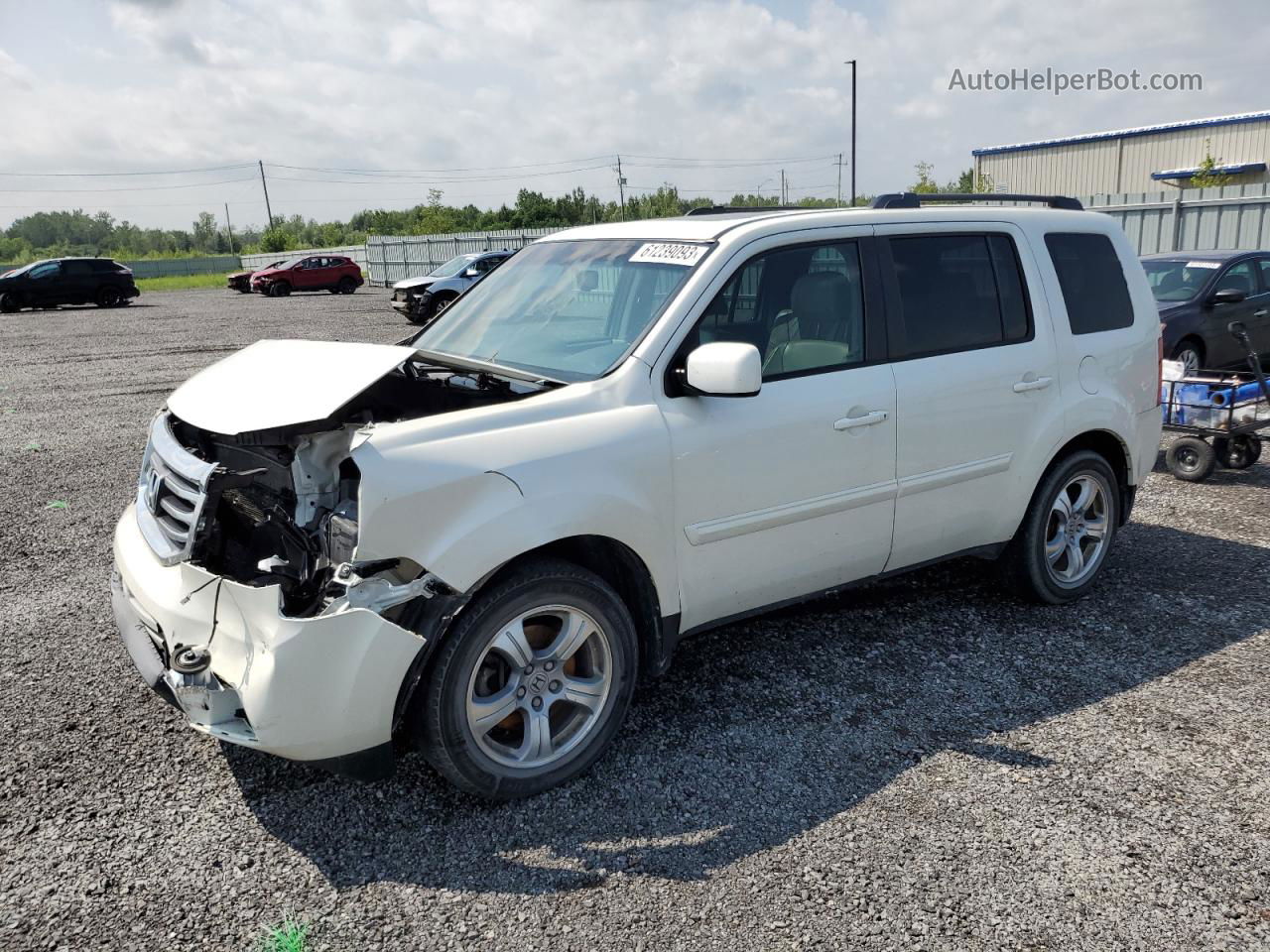 2015 Honda Pilot Exl White vin: 5FNYF4H66FB501857