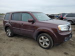 2013 Honda Pilot Exln Burgundy vin: 5FNYF4H74DB019751