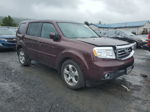 2013 Honda Pilot Exln Burgundy vin: 5FNYF4H74DB053849