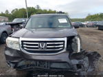 2013 Honda Pilot Touring Brown vin: 5FNYF4H92DB030121