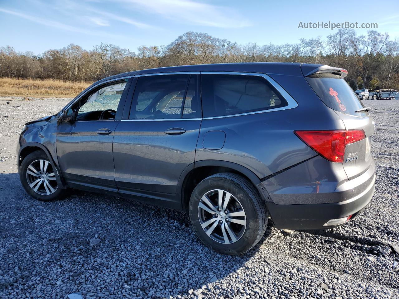 2017 Honda Pilot Exl Gray vin: 5FNYF5H50HB044298