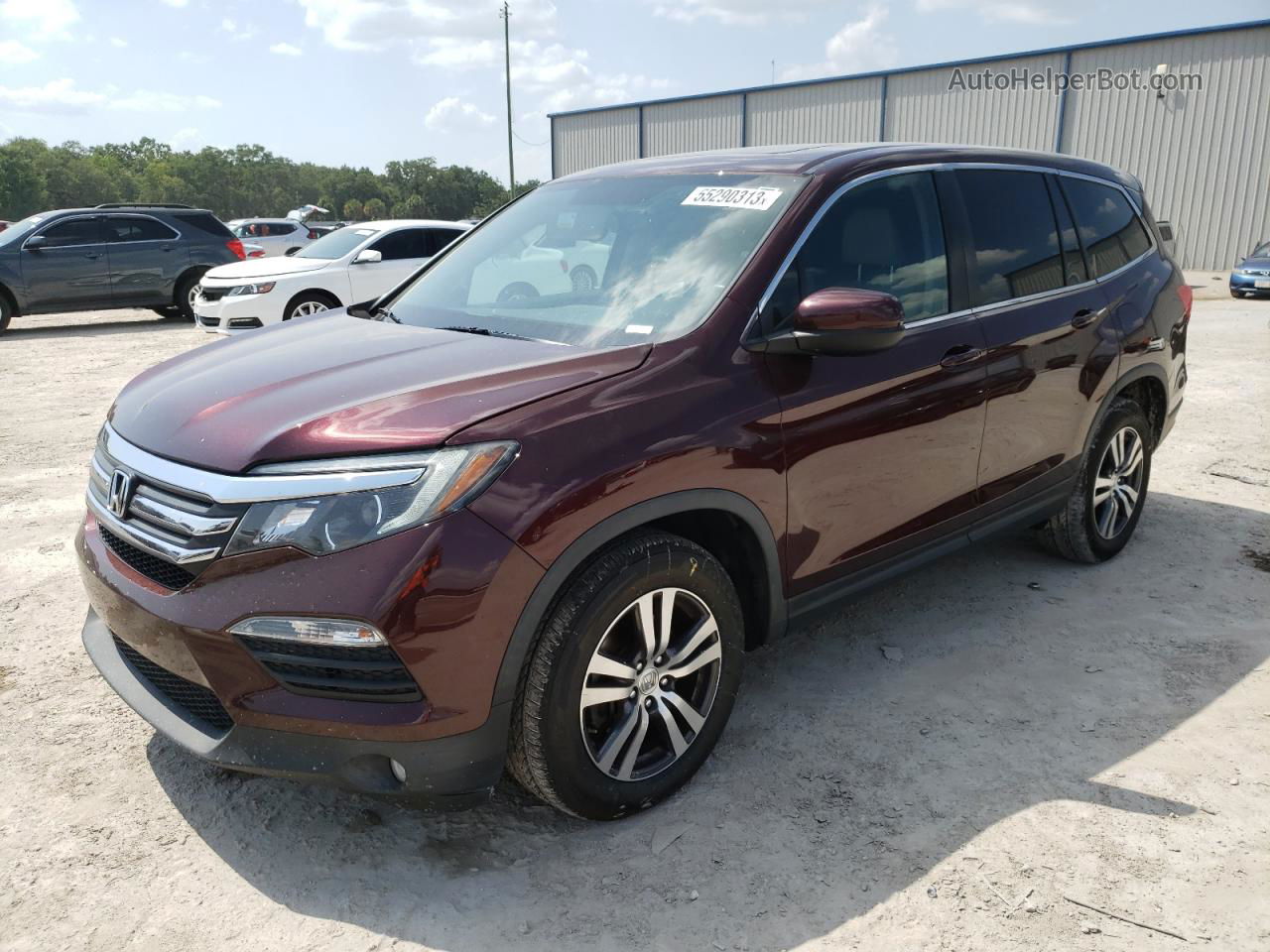 2017 Honda Pilot Exl Бордовый vin: 5FNYF5H57HB038384