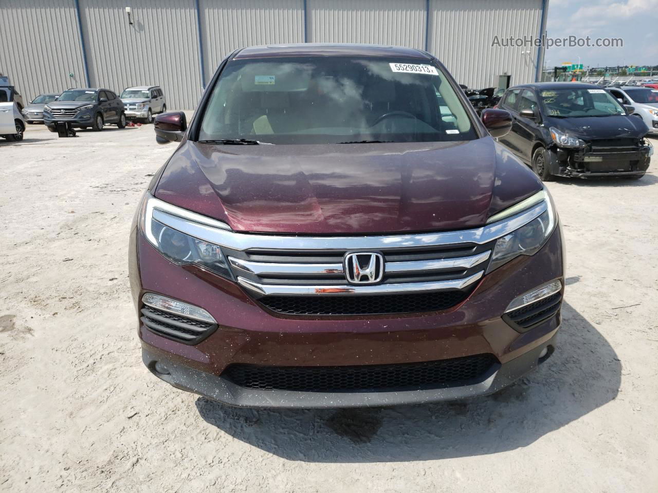 2017 Honda Pilot Exl Бордовый vin: 5FNYF5H57HB038384