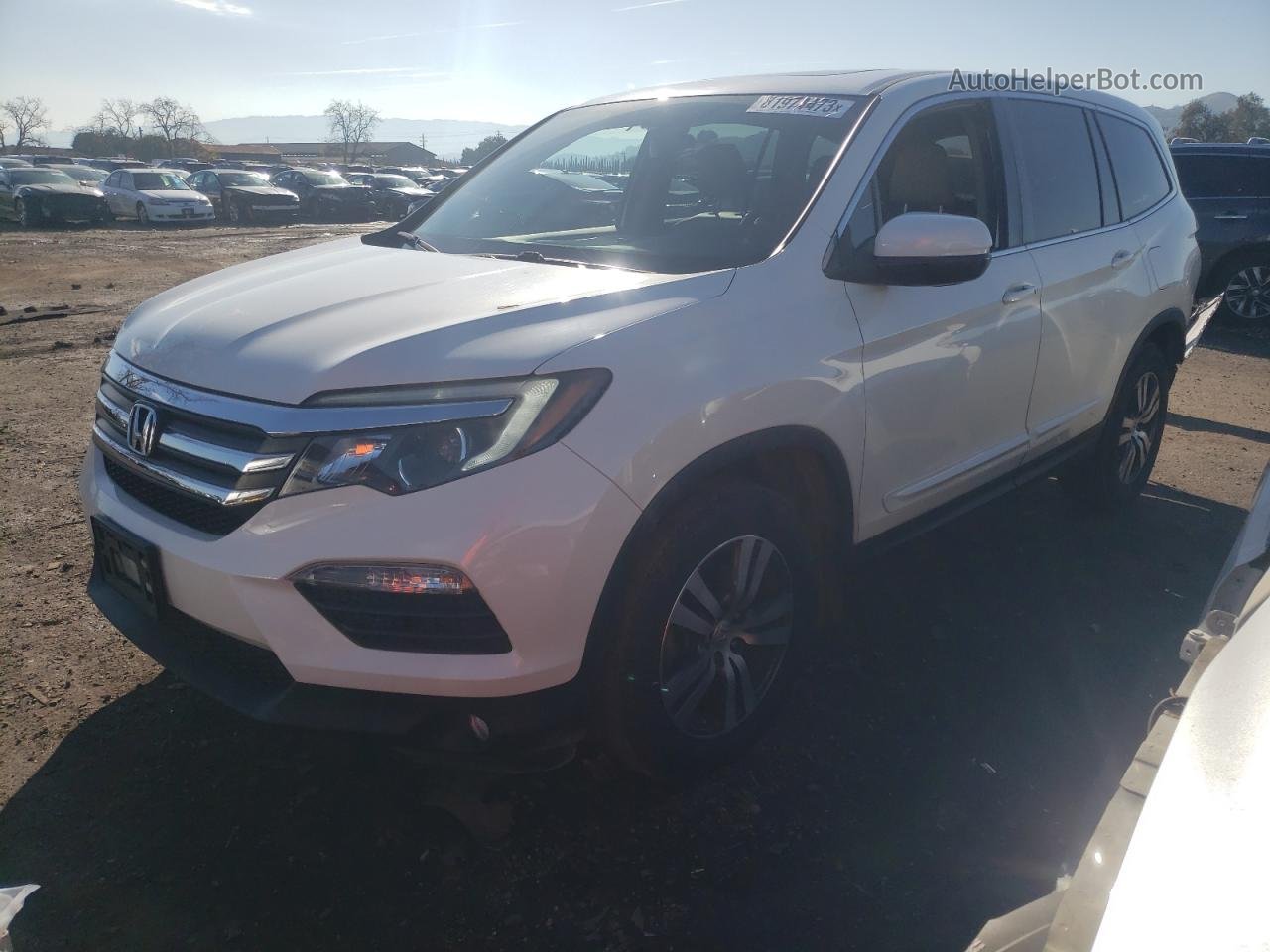 2017 Honda Pilot Exl White vin: 5FNYF5H58HB035865