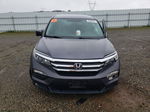 2017 Honda Pilot Ex Gray vin: 5FNYF6H36HB093462