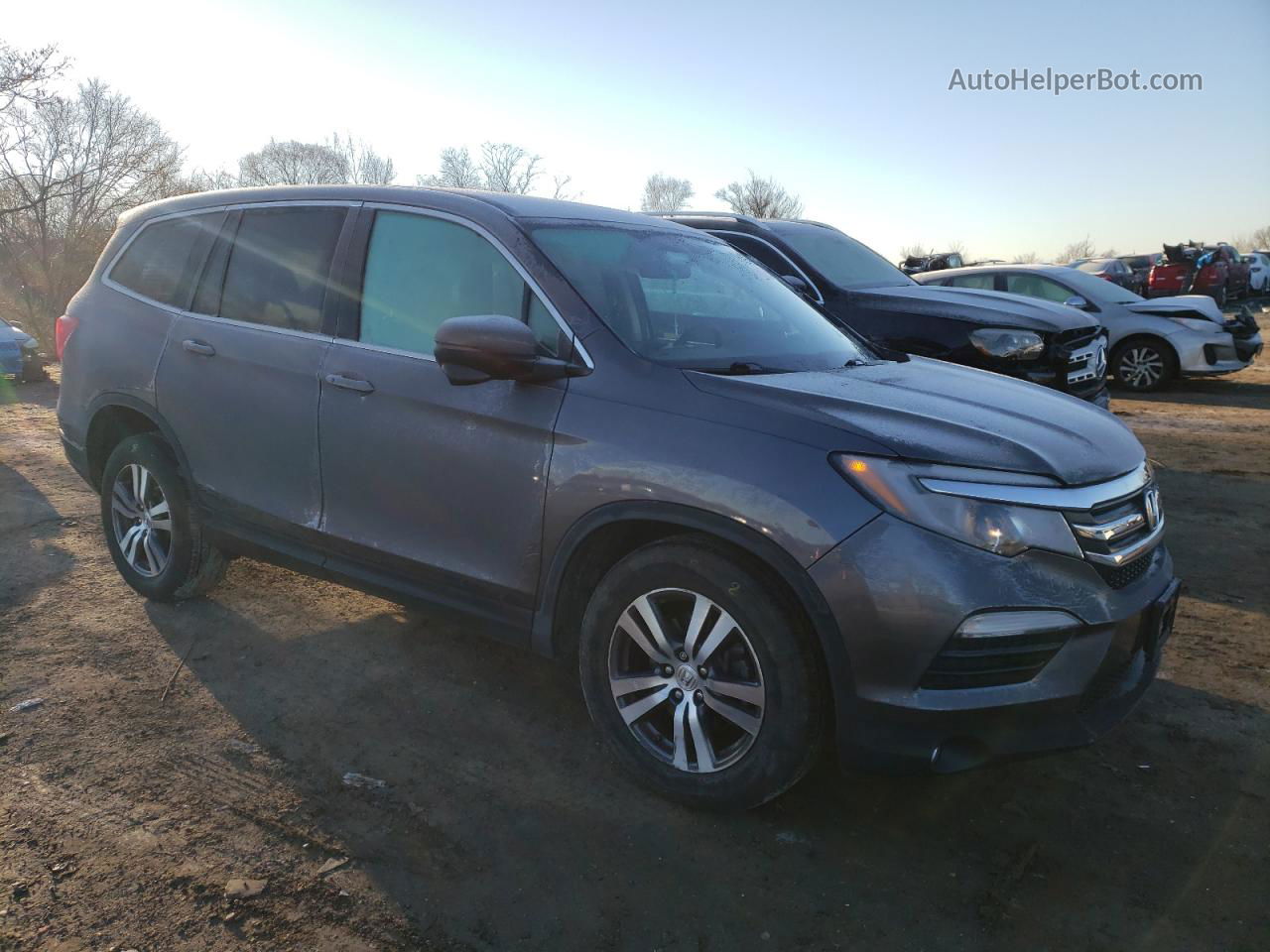 2017 Honda Pilot Ex Gray vin: 5FNYF6H36HB093591