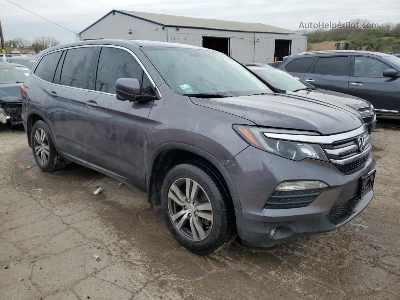 2017 Honda Pilot Exl Серый vin: 5FNYF6H51HB075050