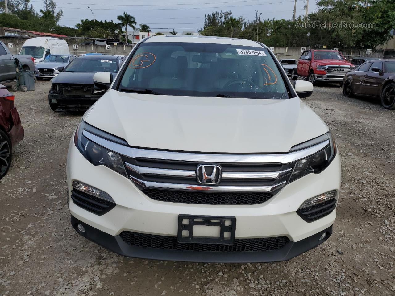 2016 Honda Pilot Exl Белый vin: 5FNYF6H52GB128448