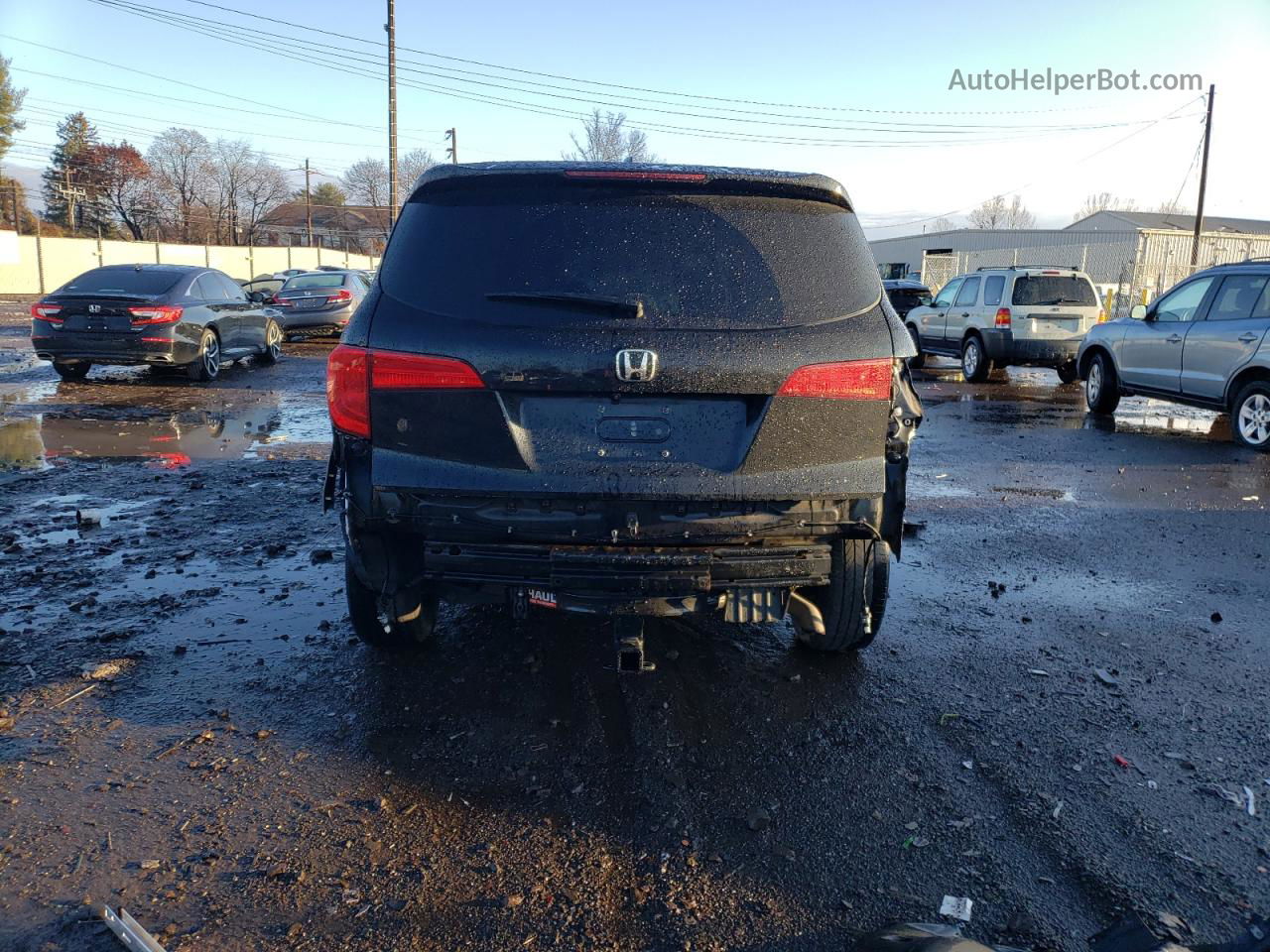 2017 Honda Pilot Exl Black vin: 5FNYF6H52HB011339