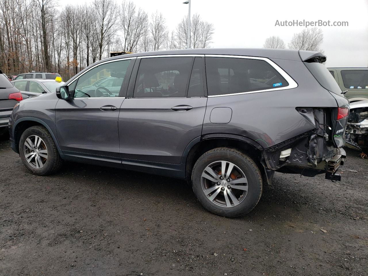 2017 Honda Pilot Exl Gray vin: 5FNYF6H53HB088611