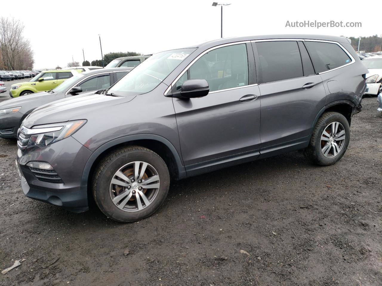 2017 Honda Pilot Exl Gray vin: 5FNYF6H53HB088611