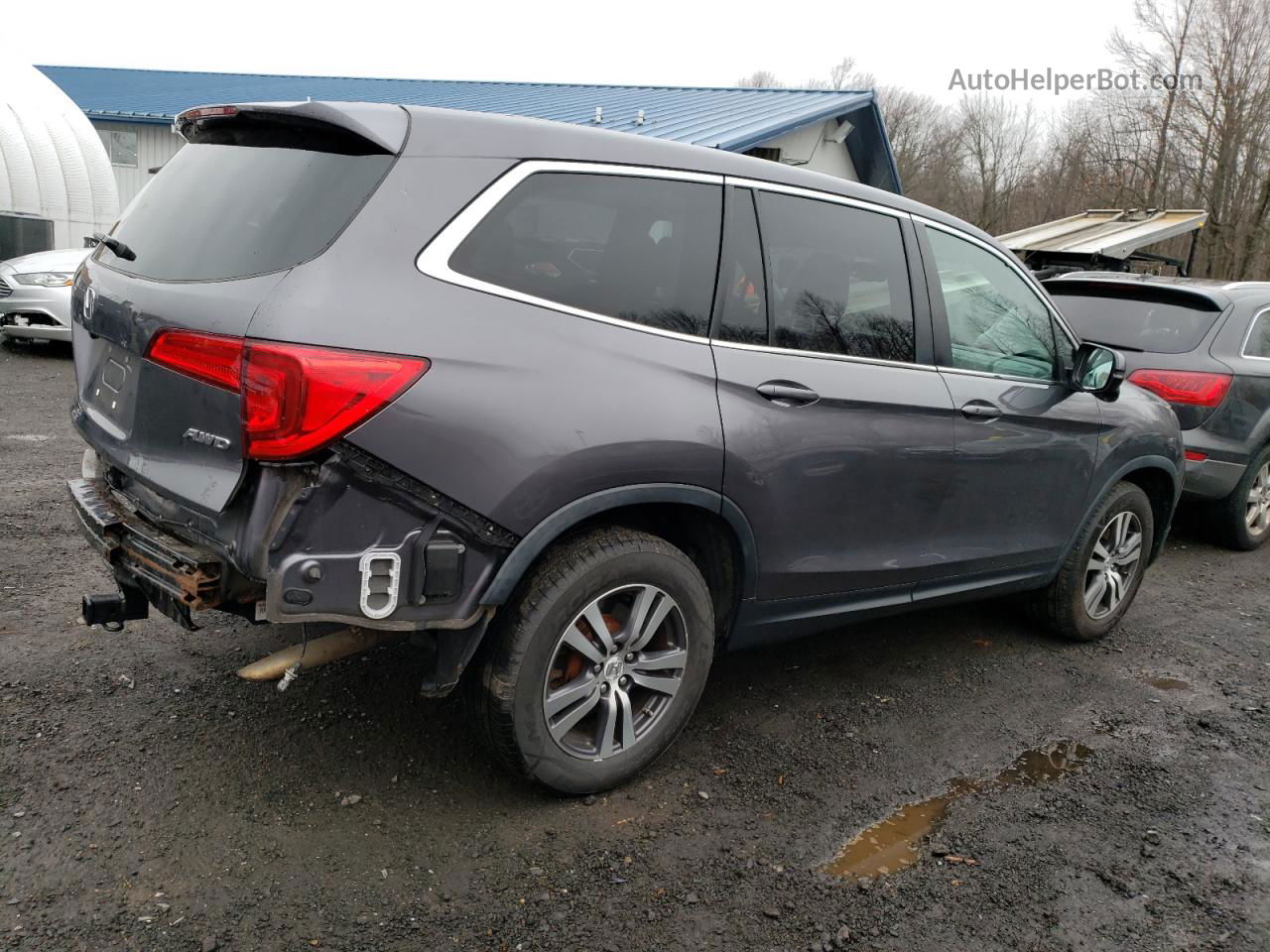 2017 Honda Pilot Exl Gray vin: 5FNYF6H53HB088611