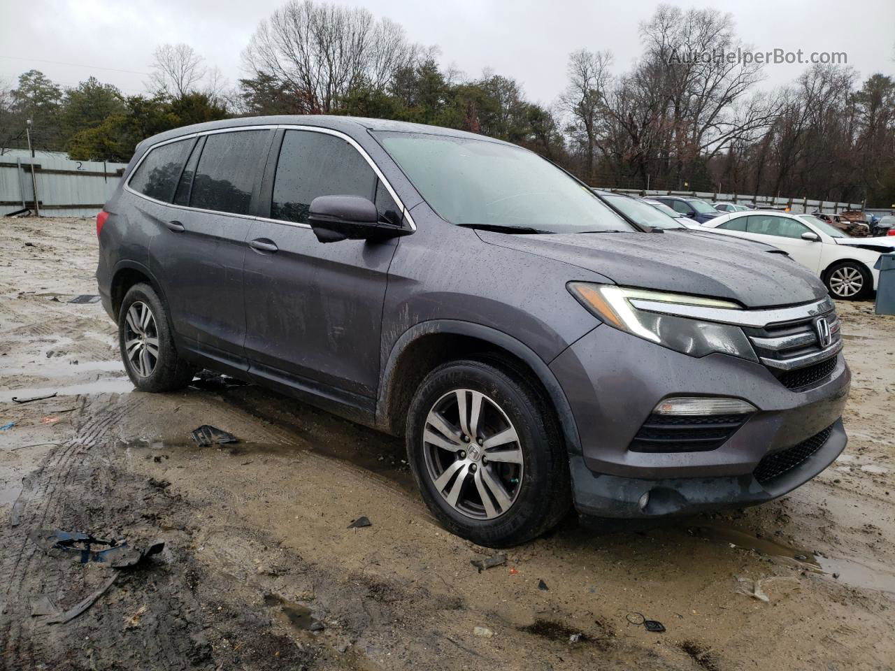 2016 Honda Pilot Exl Gray vin: 5FNYF6H55GB078080