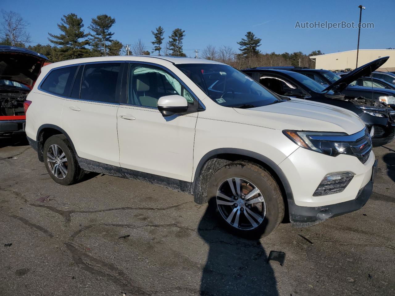 2016 Honda Pilot Exl White vin: 5FNYF6H55GB104306