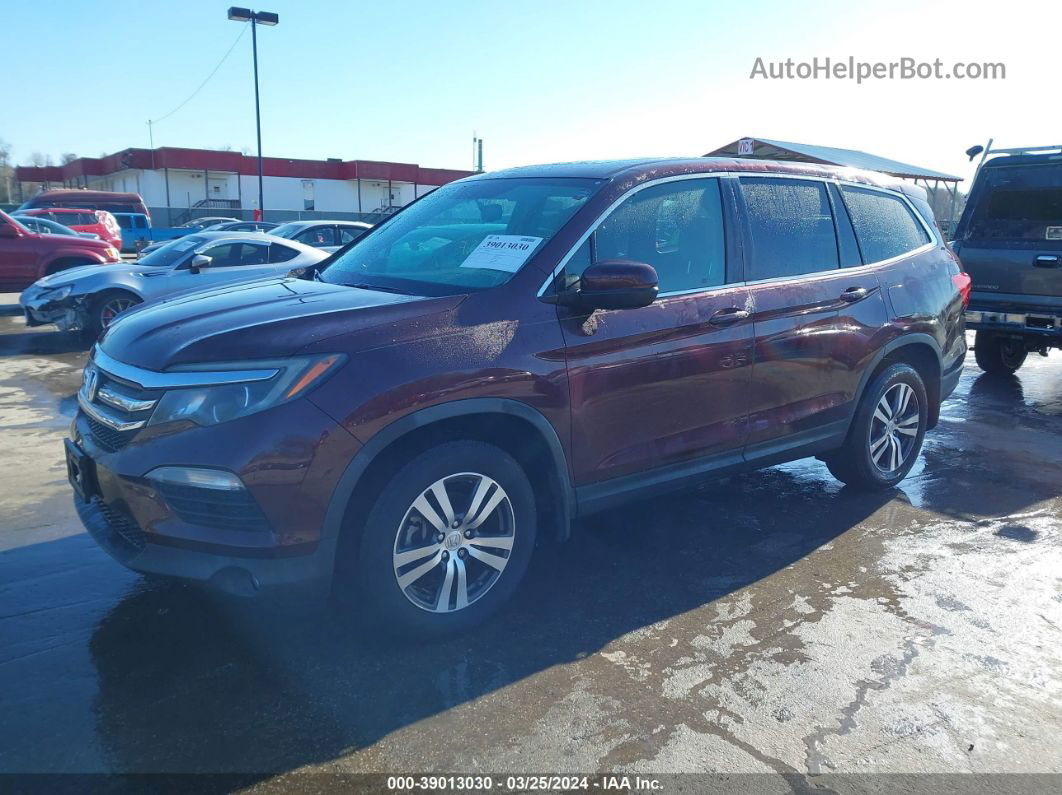 2017 Honda Pilot Ex-l Бордовый vin: 5FNYF6H55HB077481